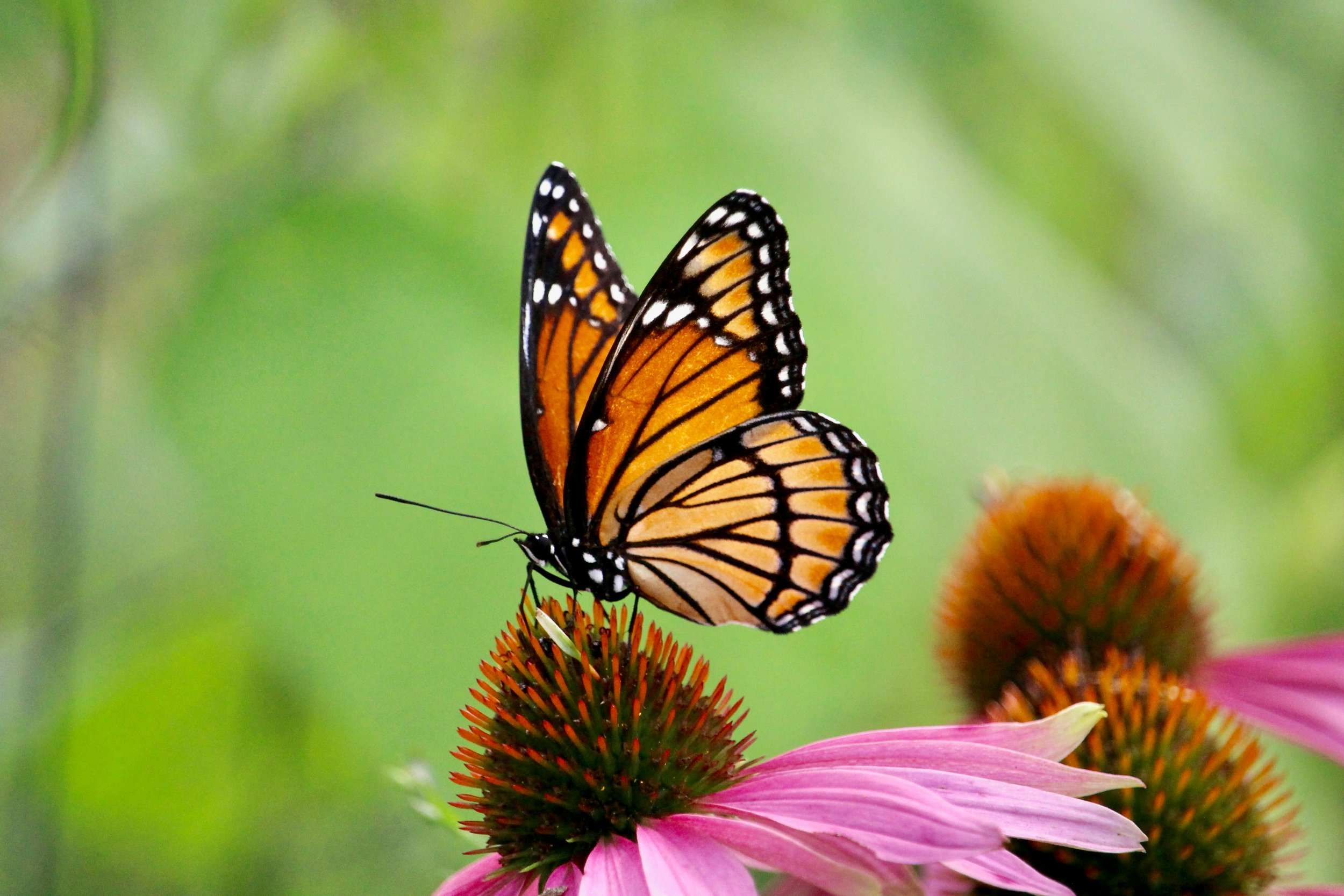 The Awareness and Acceptance of Becoming