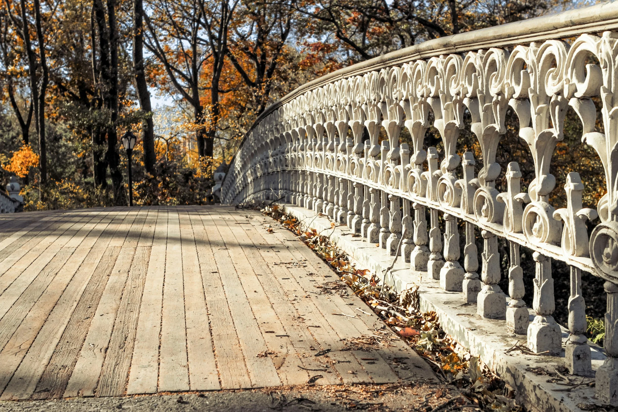 Savoring the Season: A Seasonal Examen