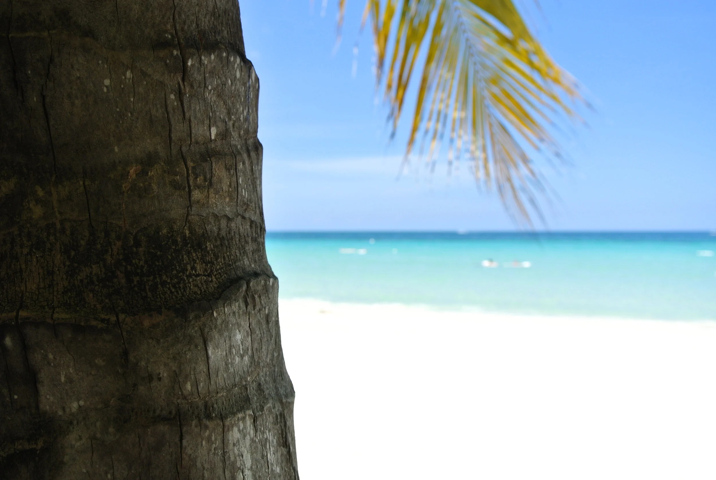 Our Honeymoon in Jamaica