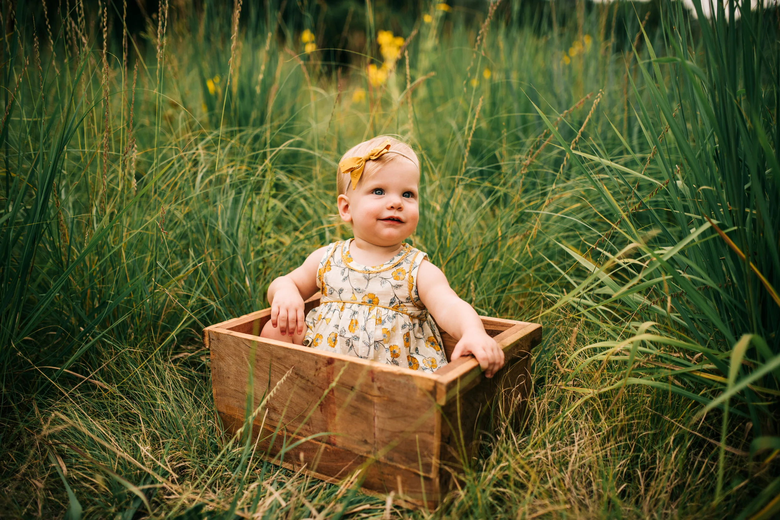 Anna : 12 Months
