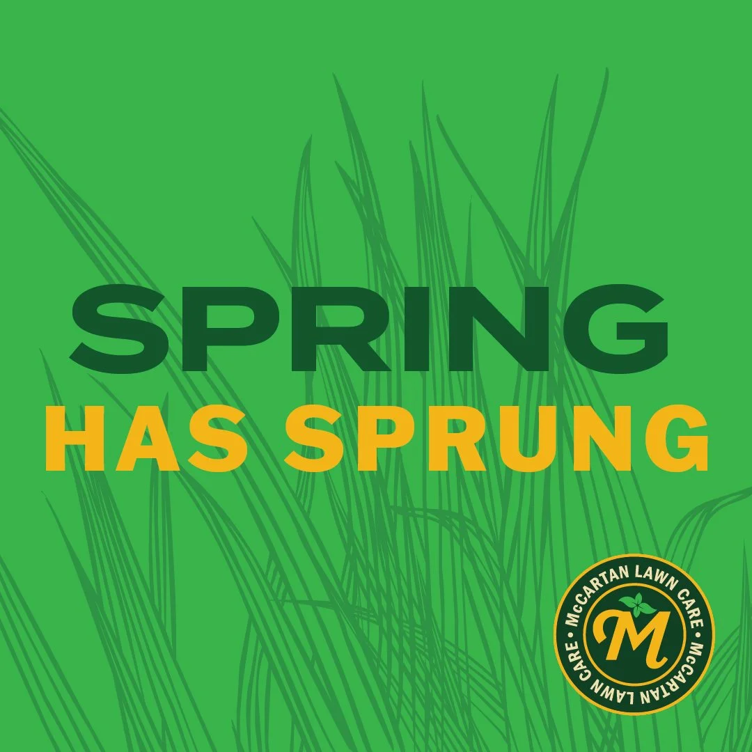 McCartanLawnCare_SocialMedia_InstagramPosts-05.jpg