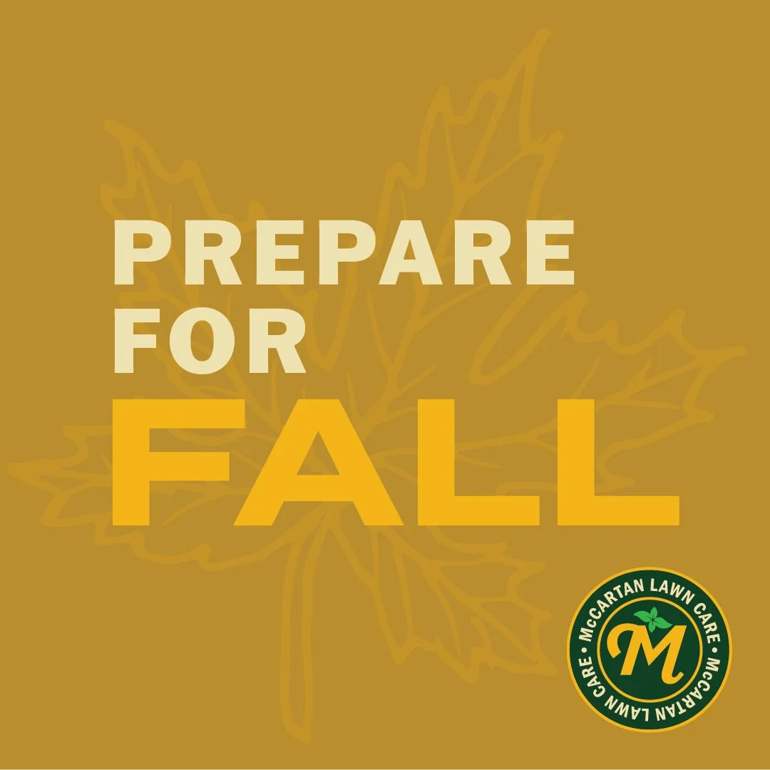 McCartanLawnCare_SocialMedia_InstagramPosts-06.jpg