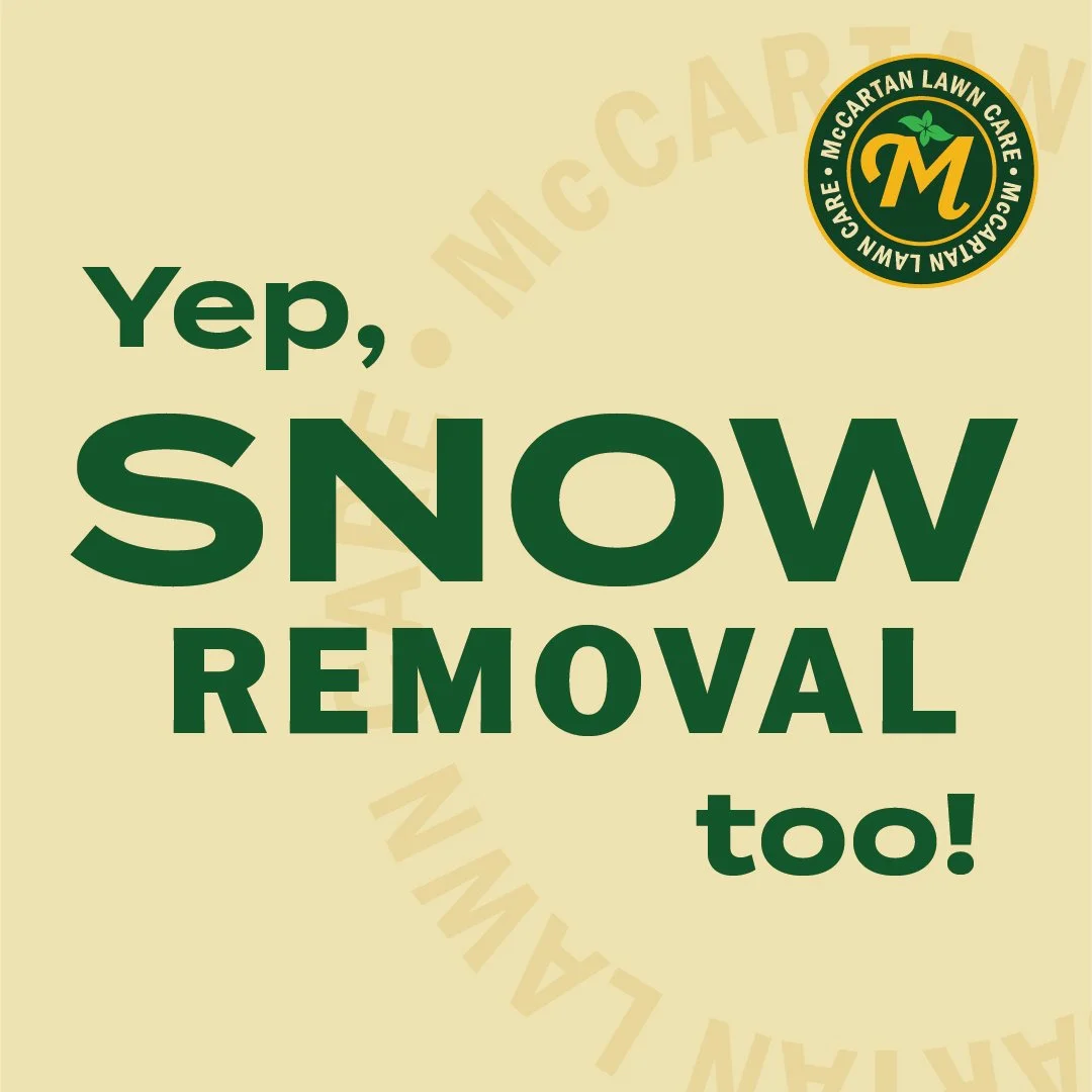 McCartanLawnCare_SocialMedia_InstagramPosts-10.jpg