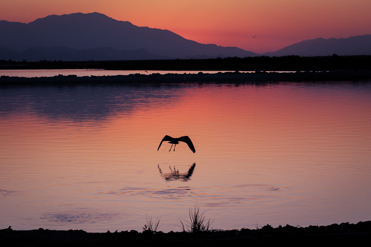 destinations_0017.jpg