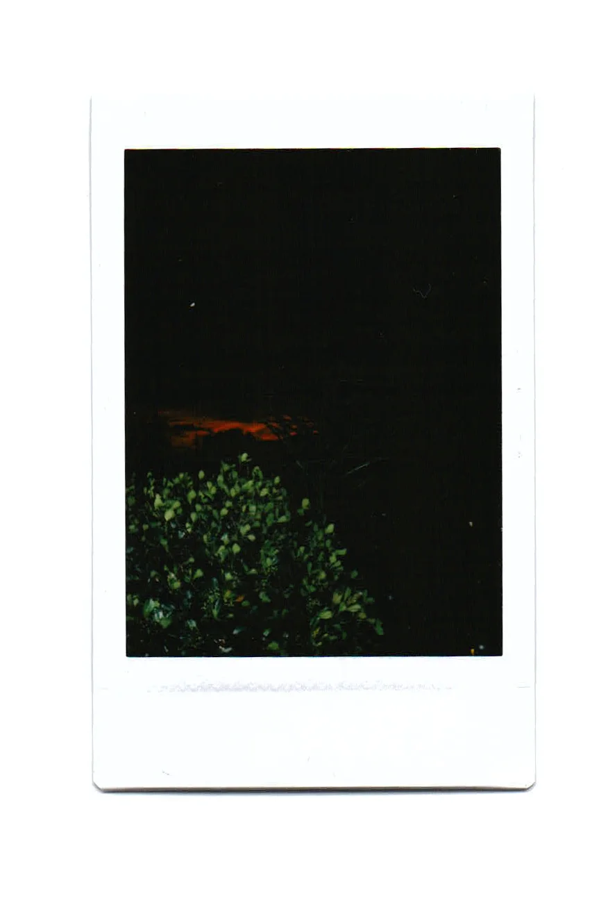 Scan 3.jpeg