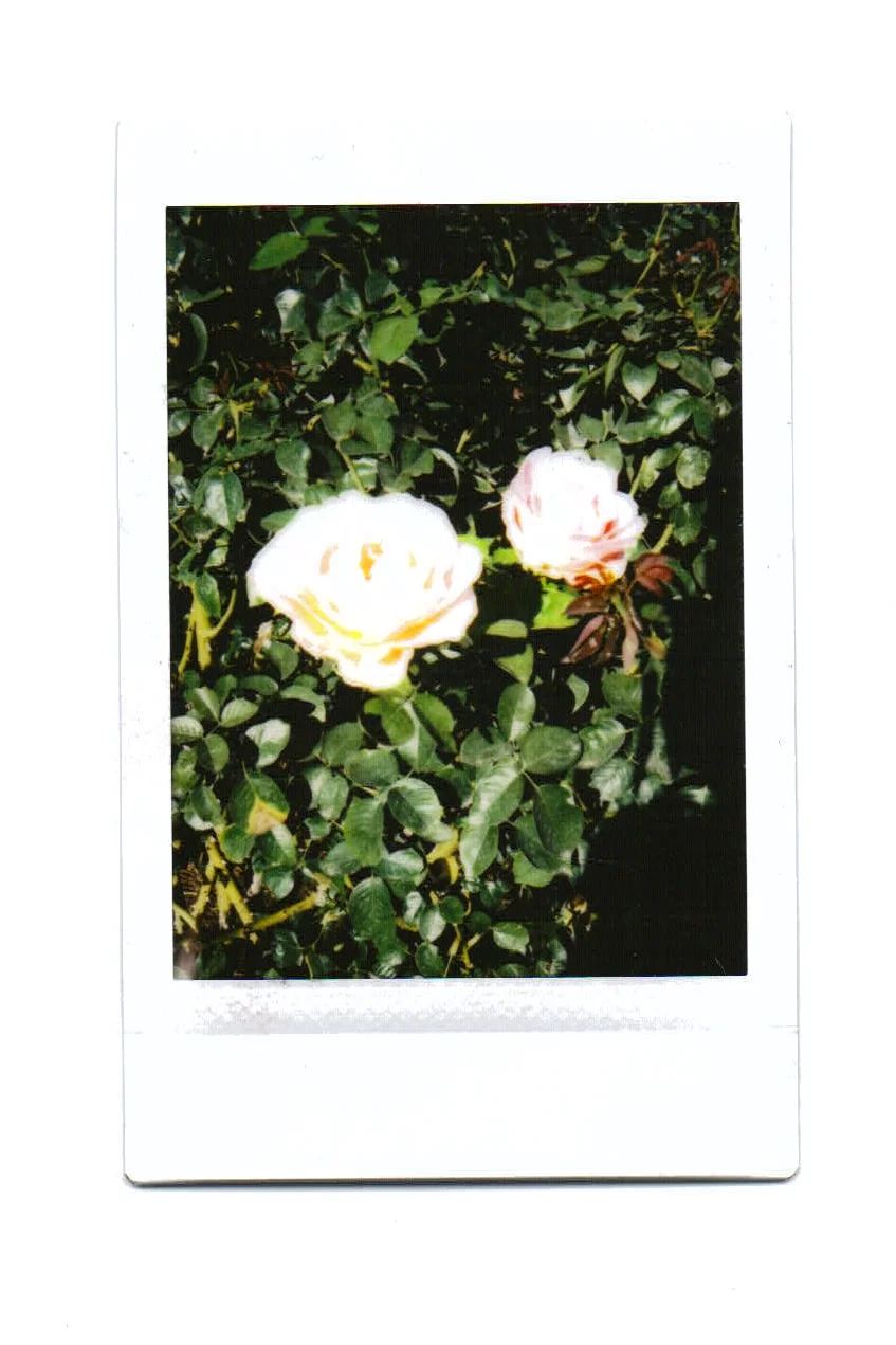 Scan 18.jpeg