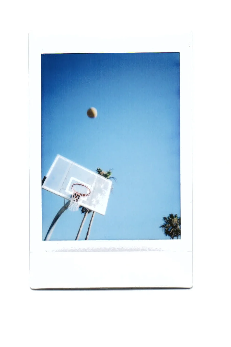 Scan 19.jpeg