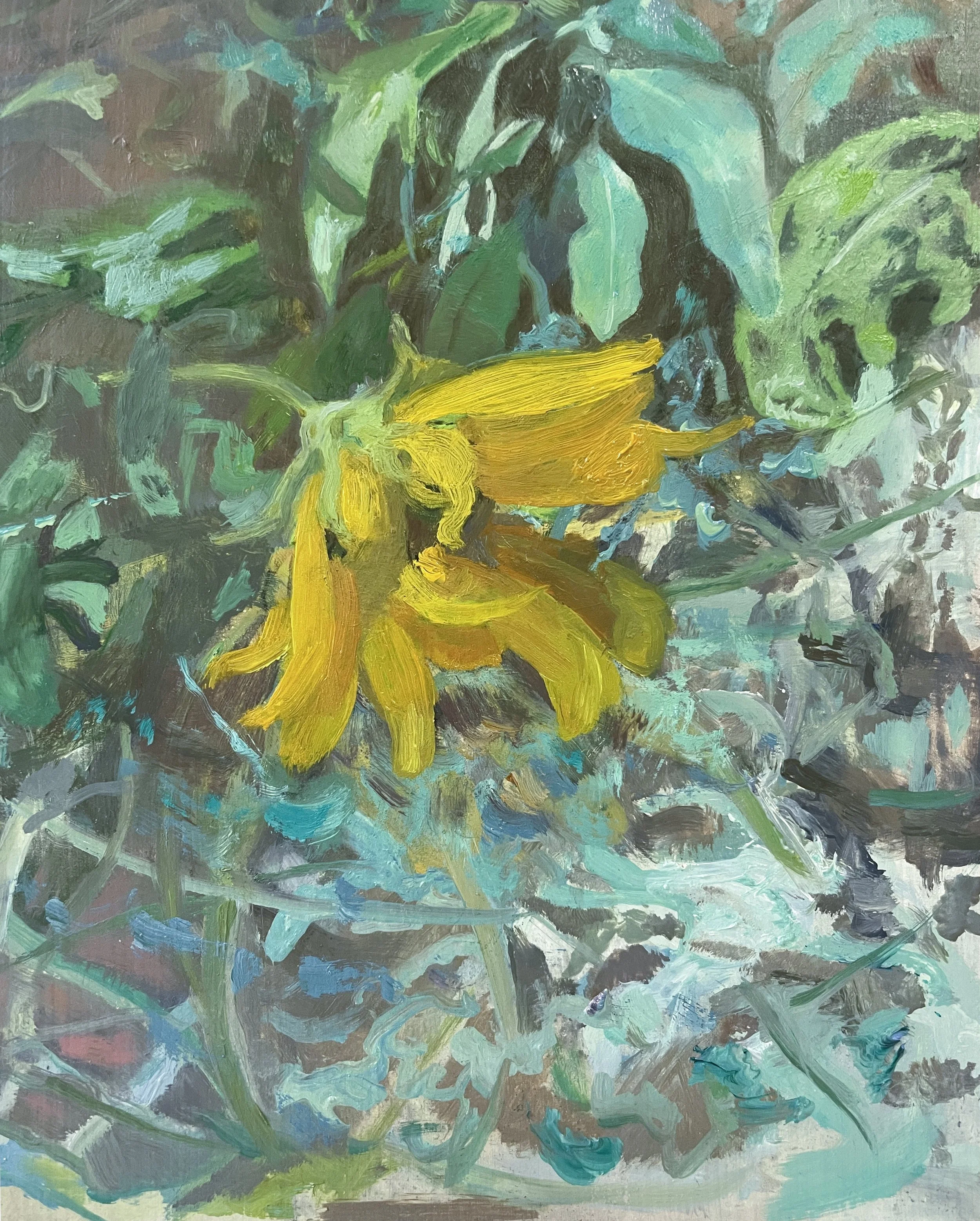 Wild Density (close up)