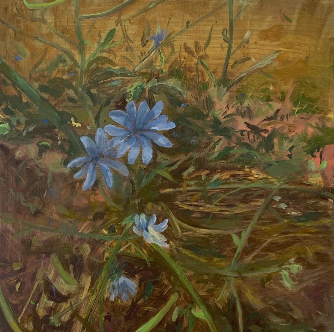 Delicate Blue Flowers