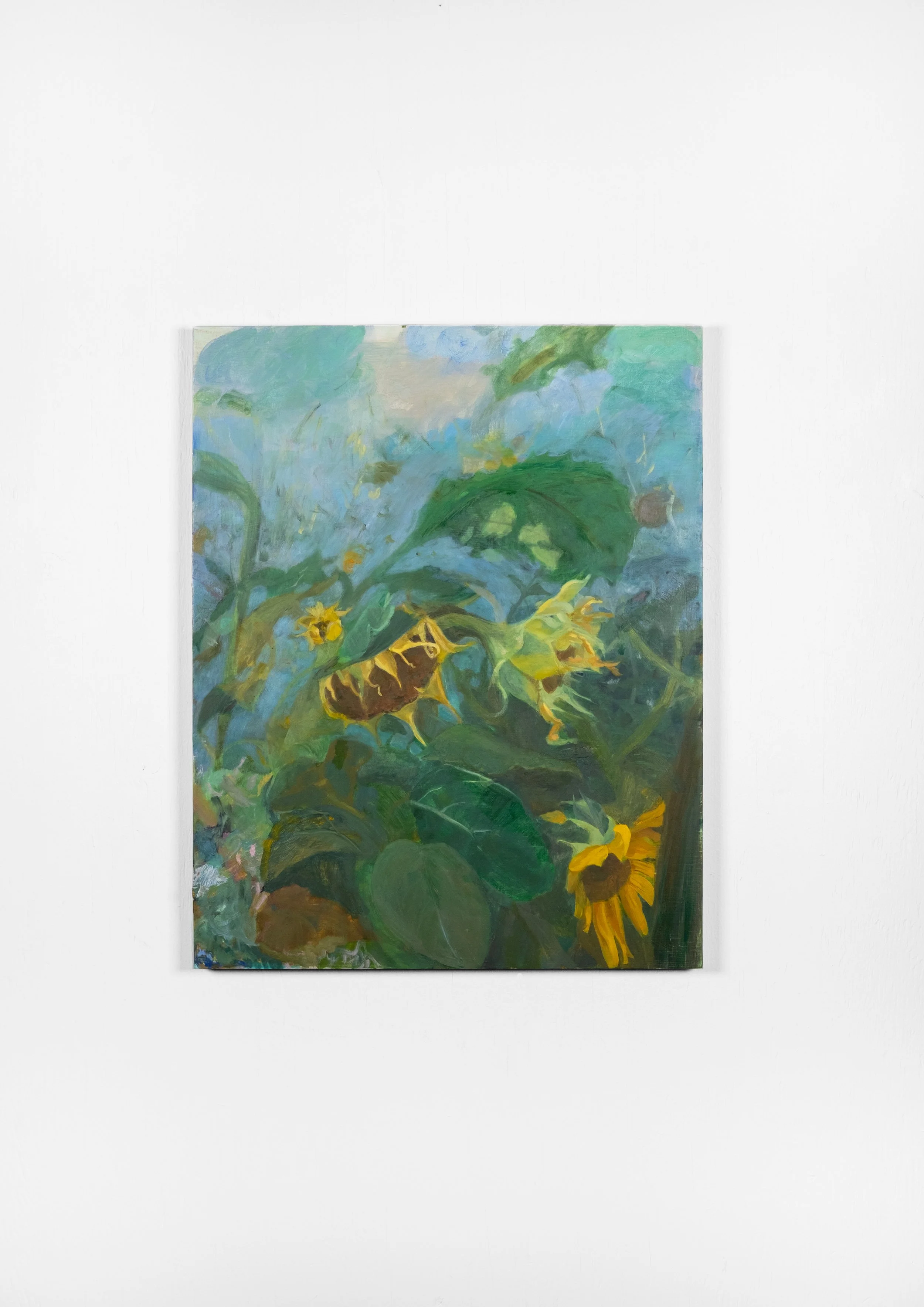 Three Flowers, Sun Shade