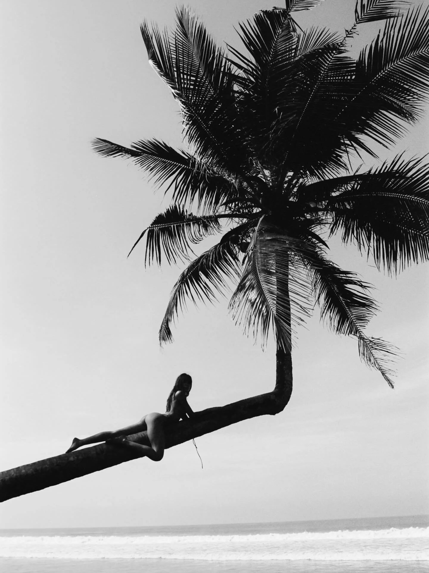Hours float by as sweet dreams linger under palm trees