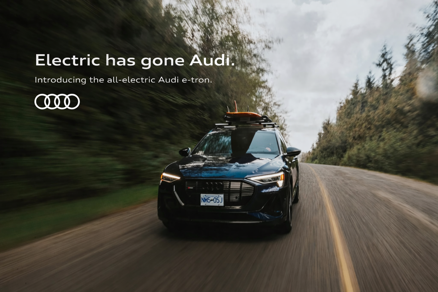 AUDI OVD .png
