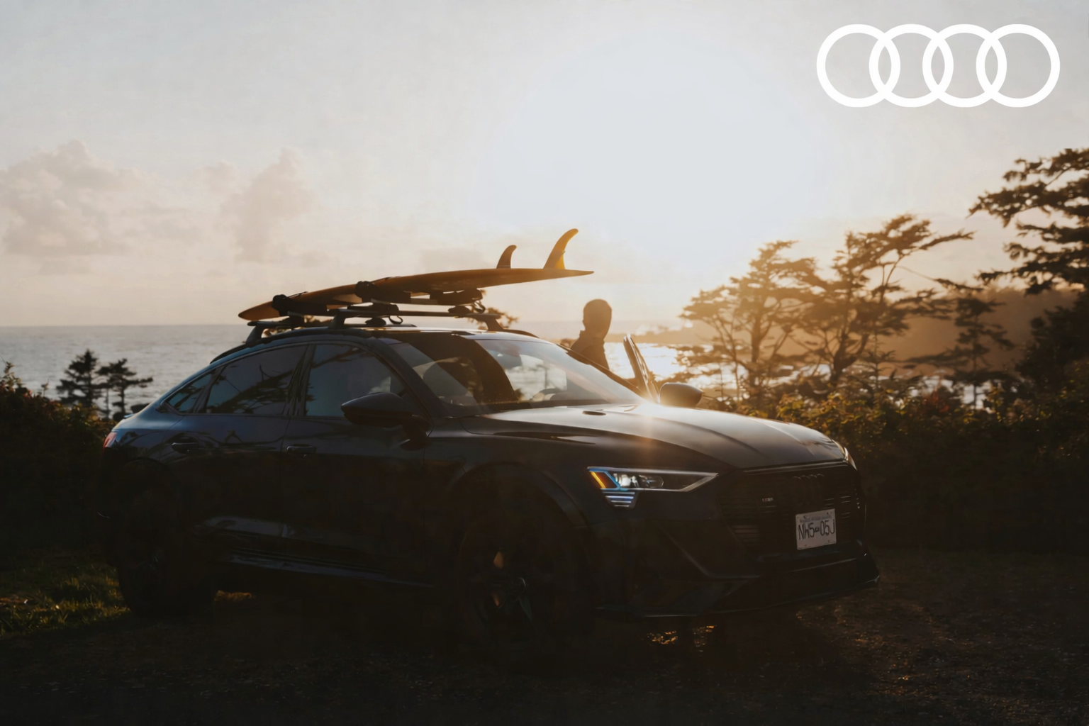 AUDI OVD.png