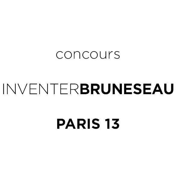 BRUNESEAU-2.gif