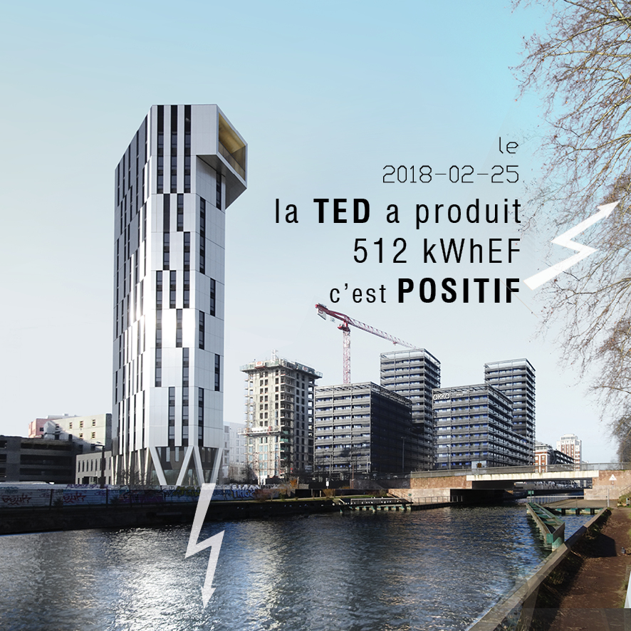 TED POSITIF©XTU.jpg