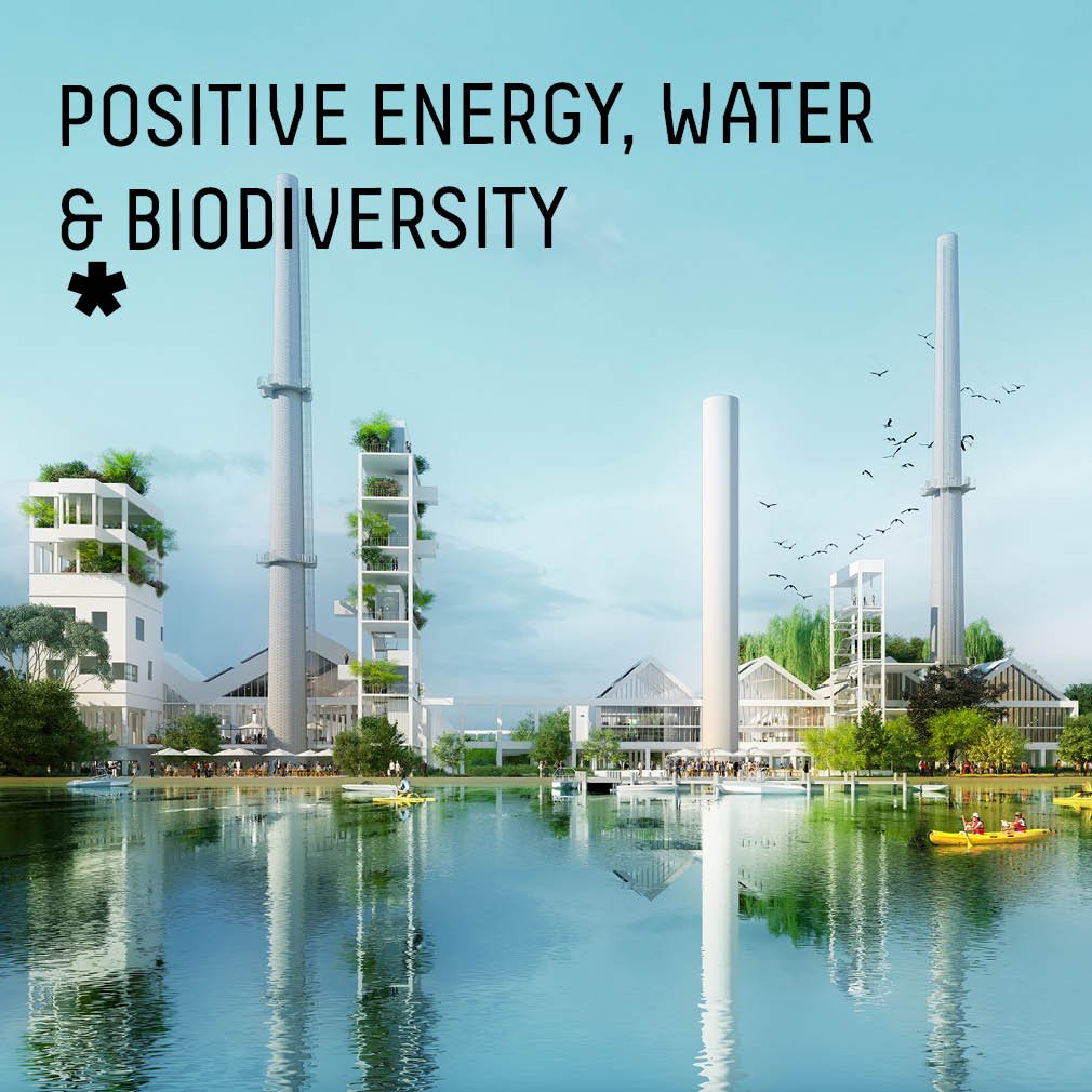 vignettes friches3.jpg