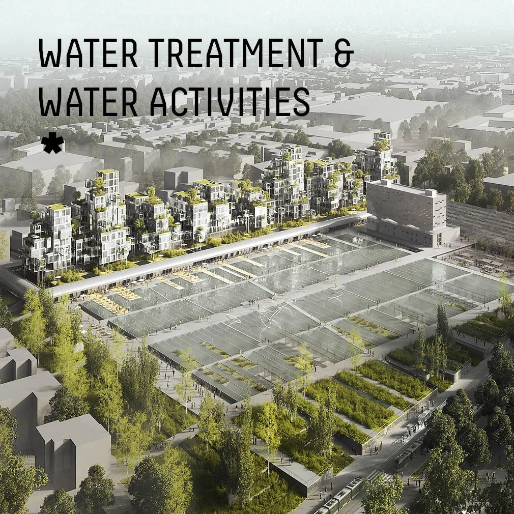 vignettes friches2.jpg