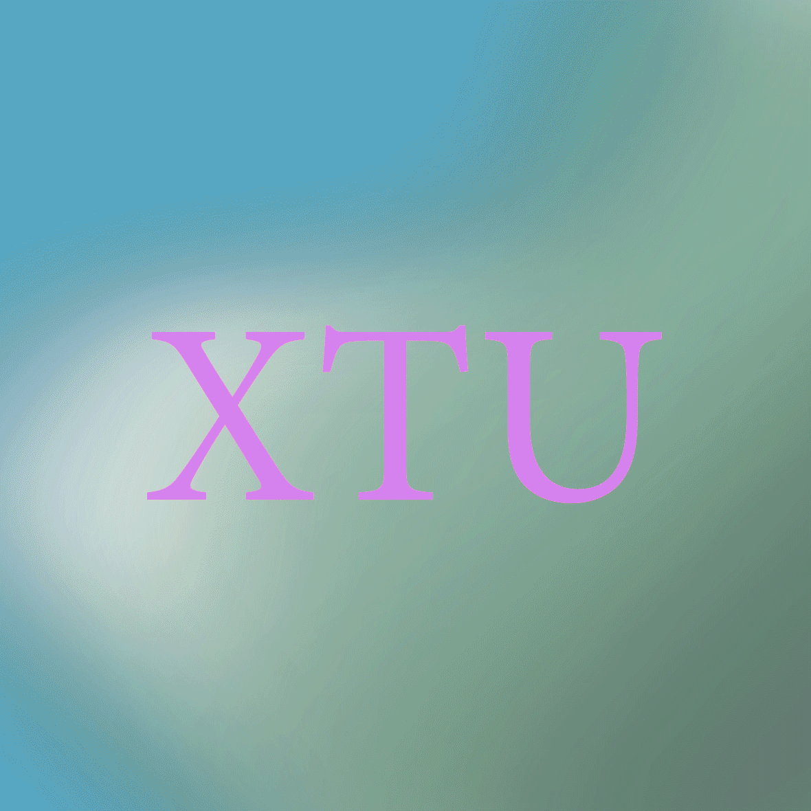 XTU VOUS PRESENTE SES MEILLEURS VOEUX POUR 2025