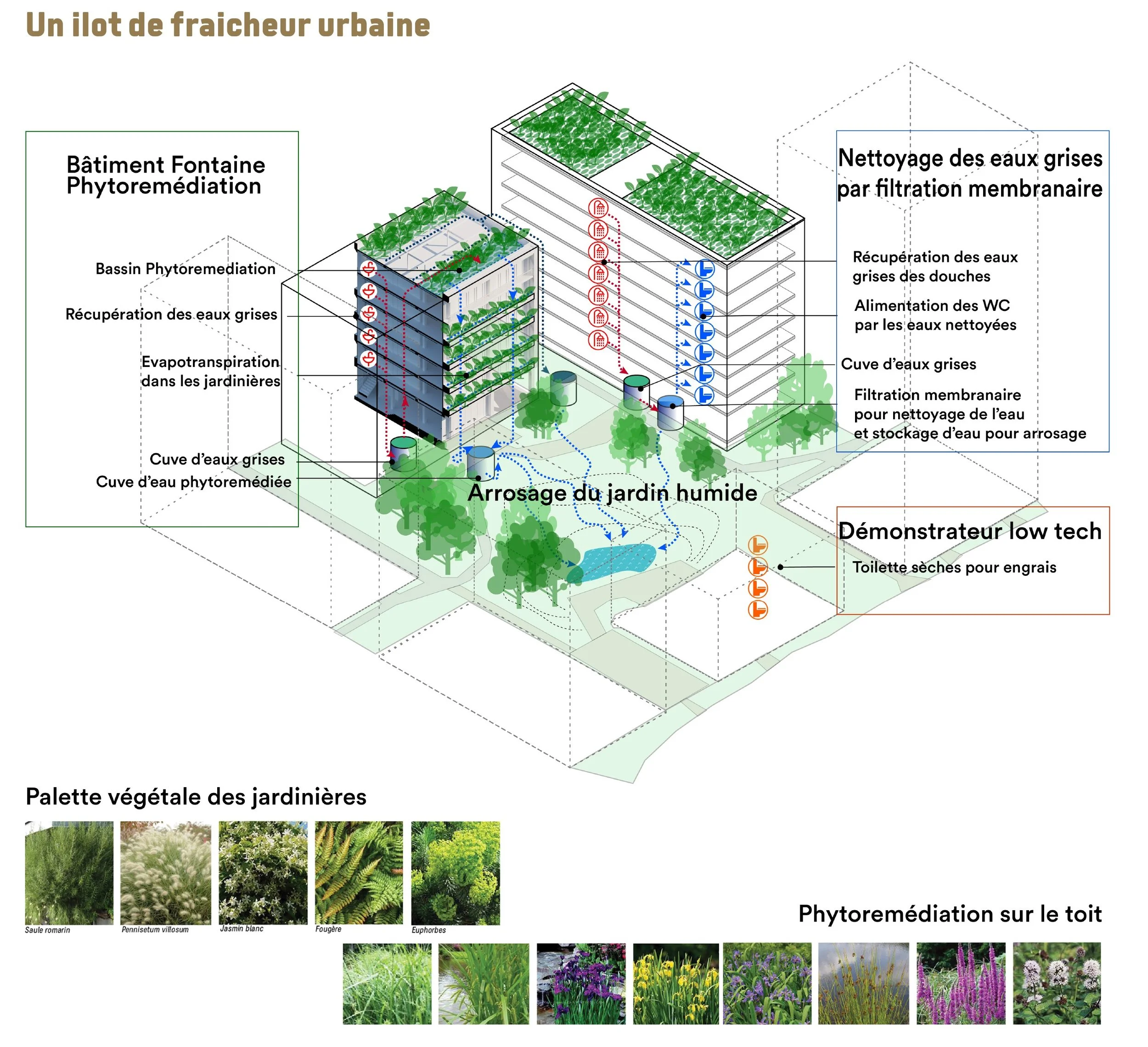 15b-Axono récupération de l’eau.jpeg