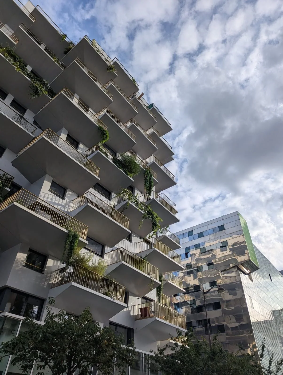 LIVRAISON DE TREE HOUSE : PARIS 13