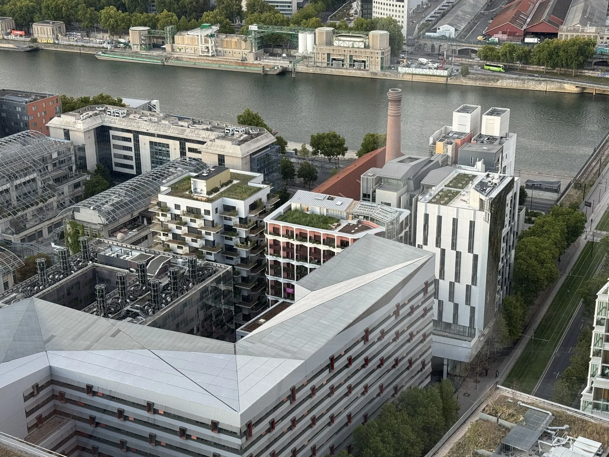 tree house toit.jpeg