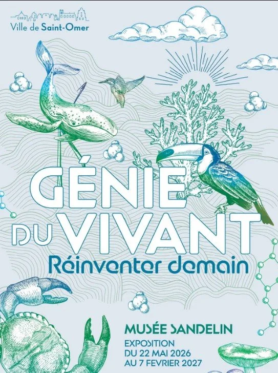 XTU AU MUSEE DE SAINT OMER ! EXPO "GENIE DU VIVANT"