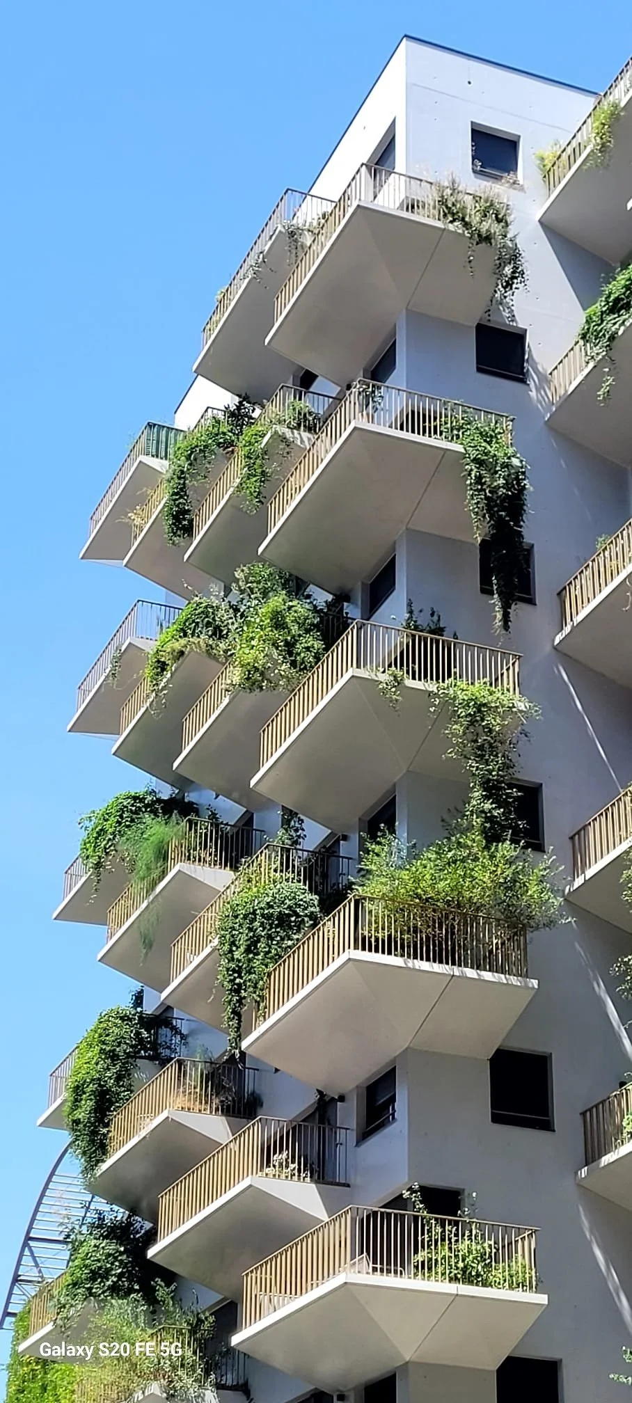Visite de Treehouse et Algohouse - évolution du premier printemps