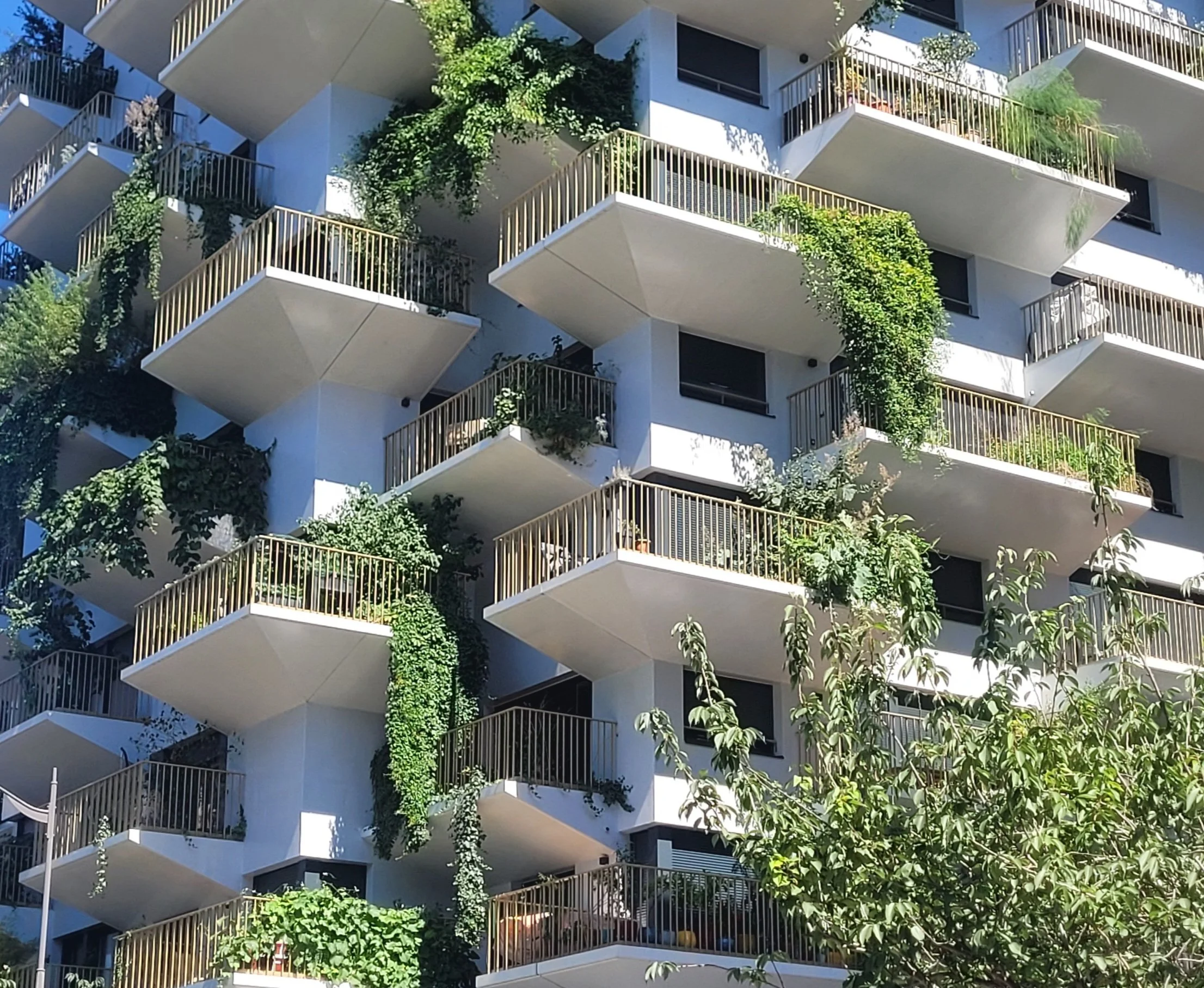 TREE JUILLET 2026.jpg