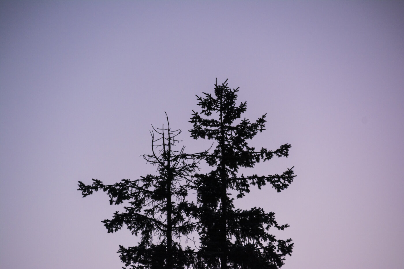 _DSC0435.JPG