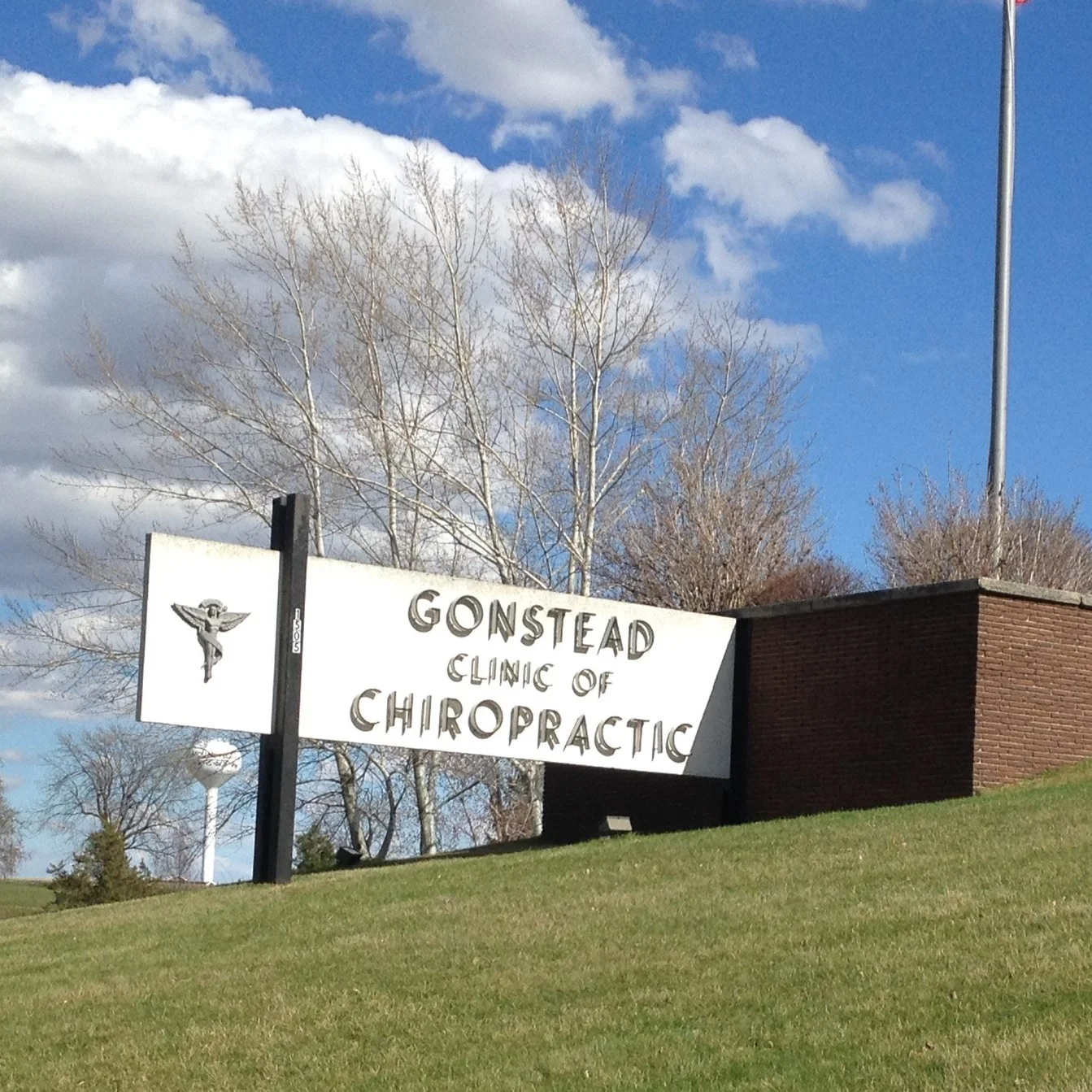 Gonstead pic 5.jpg