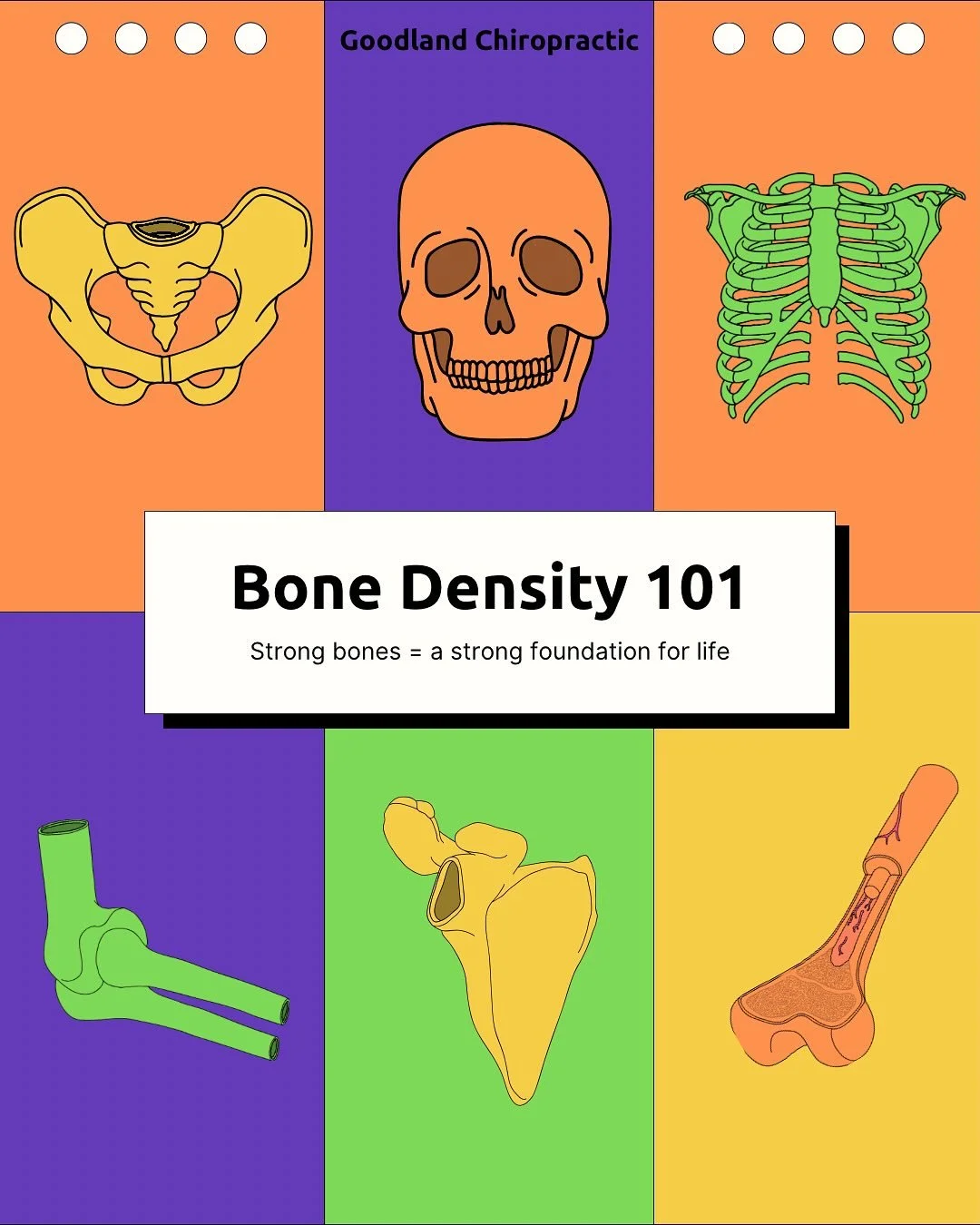 🦴 Wellness Wednesday: Bone Density 101 🧠
 
Your bones do more than just hold you up &mdash; they protect your brain, support your posture, and keep you moving strong 💪

This month, we&rsquo;re diving deep into all things bones &amp; cranium &mdash
