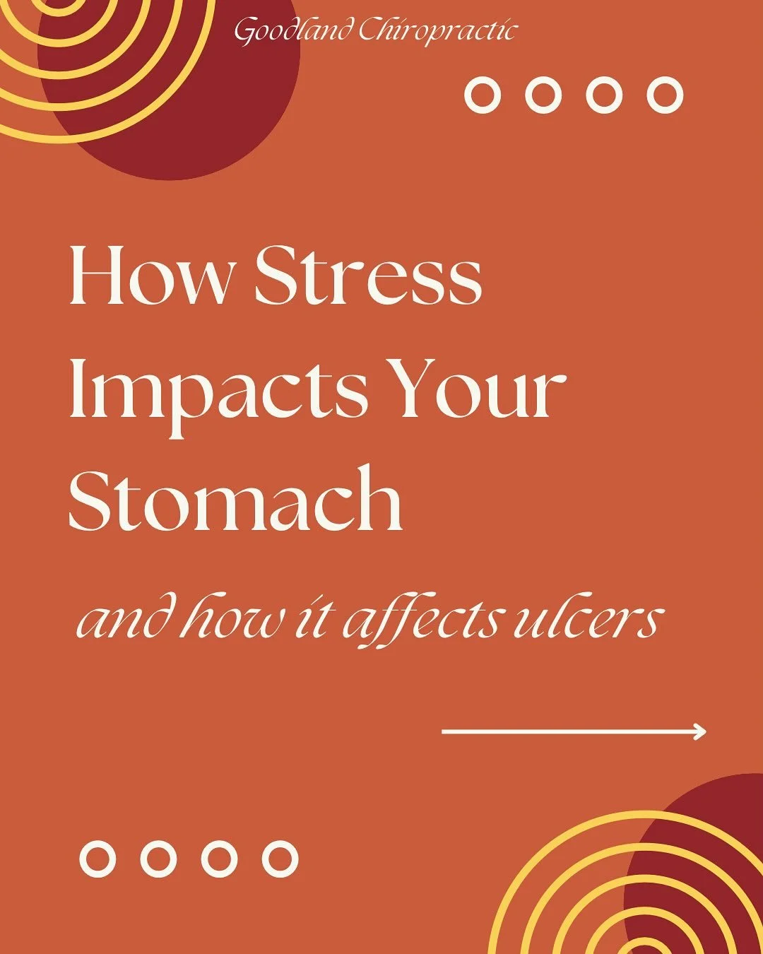 Wellness Wednesday: Your Stress Shows Up in Your Stomach

Ever notice your digestion acts up when life gets overwhelming?

 That&rsquo;s because your nervous system and your gut are deeply connected.

 When stress rises, your body shifts into fight-o