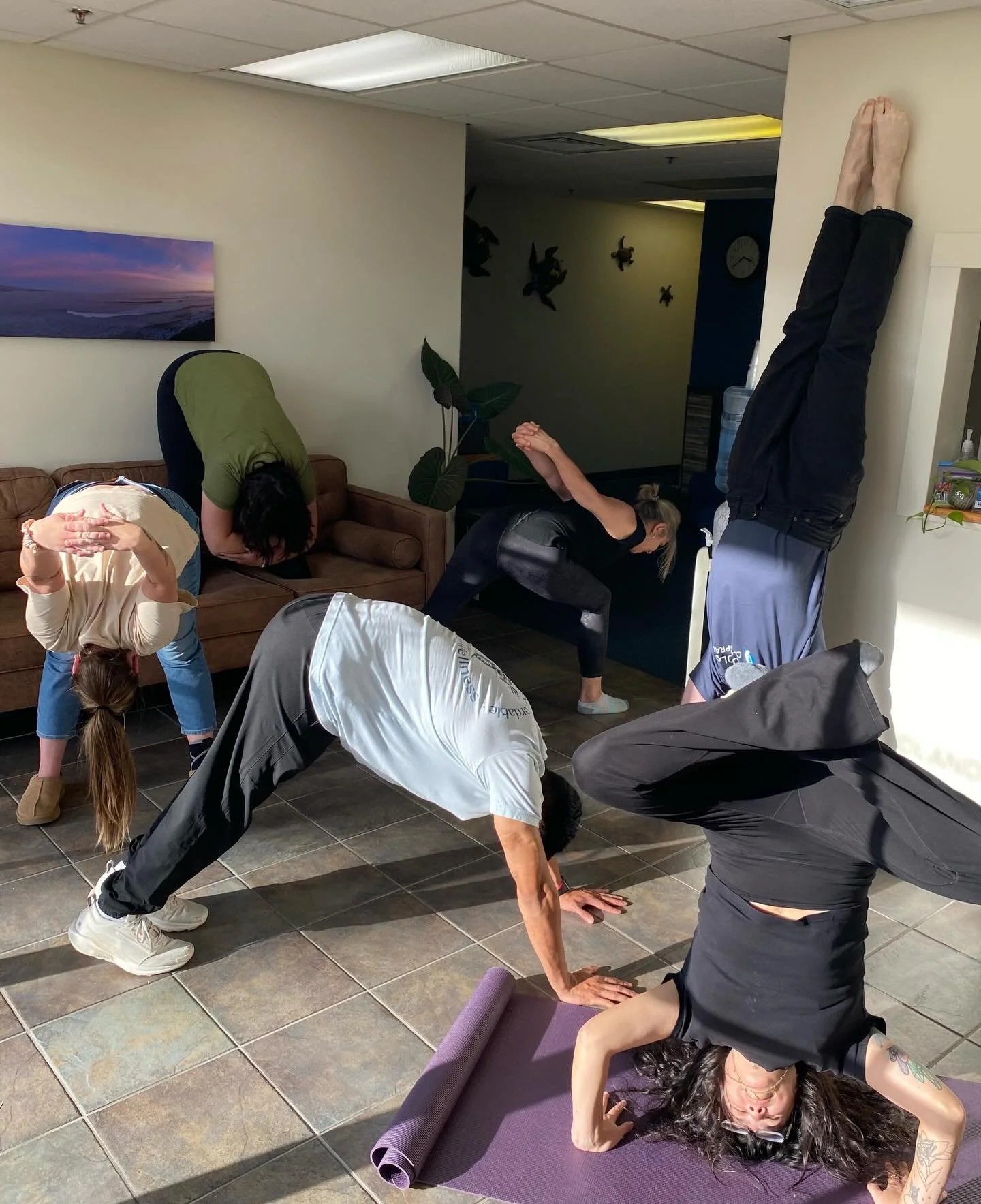 Flipping the script on heart health ❤️⬆️
This month&rsquo;s theme is all about circulation, so our team took it upside down&mdash;literally. From headstands to down dogs, we&rsquo;re boosting blood flow, building strength, and having a little fun whi