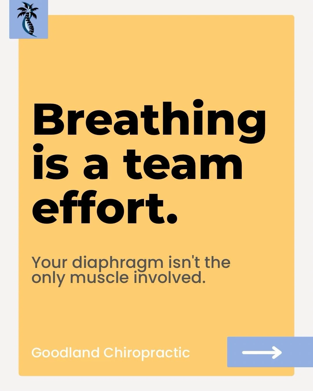 Breathing is a team effort. 🌬️
While the diaphragm is our primary breathing muscle, it&rsquo;s not working alone. Muscles throughout the neck, chest and upper body can step in to help &mdash; especially when we&rsquo;re stressed or stuck in a fight-