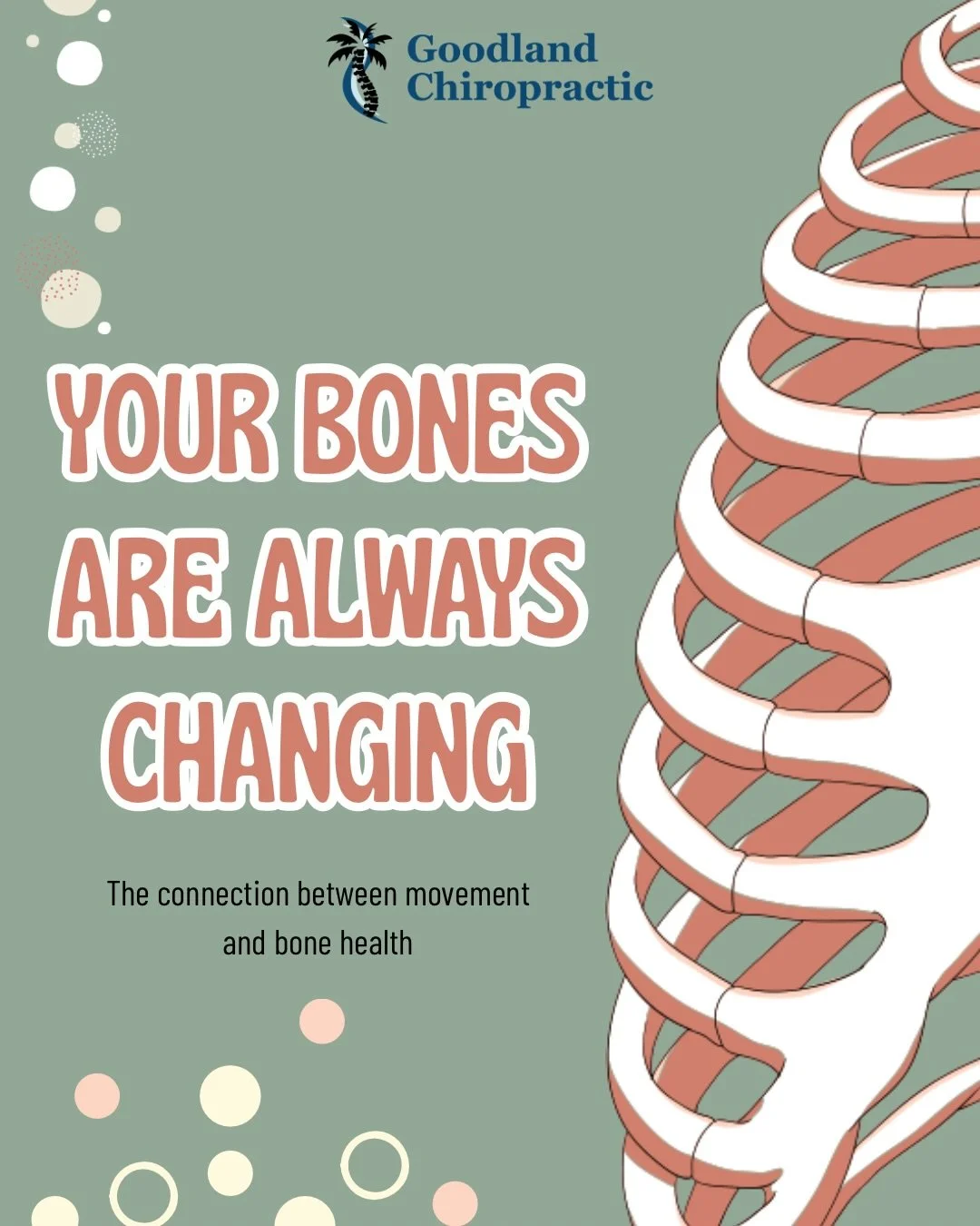 🦴Wellness Wednesday is still highlighting this month&rsquo;s theme of BONES 🦴 

When we have dysfunction in the joints and they are not able to move as they are designed, or the body decides the joint is unstable, osteoblasts will lay more bone dow
