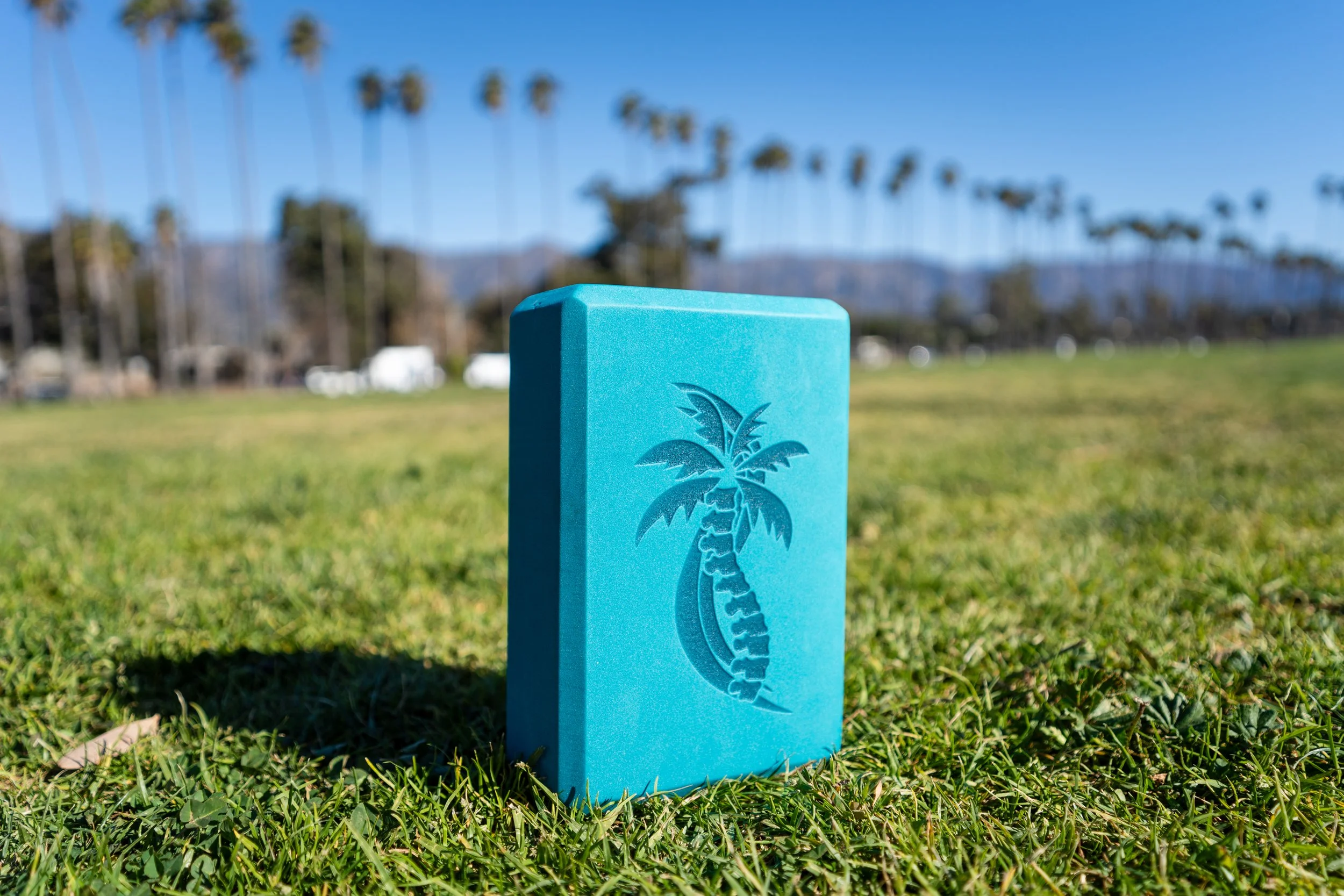 Yoga Block Grass.jpg