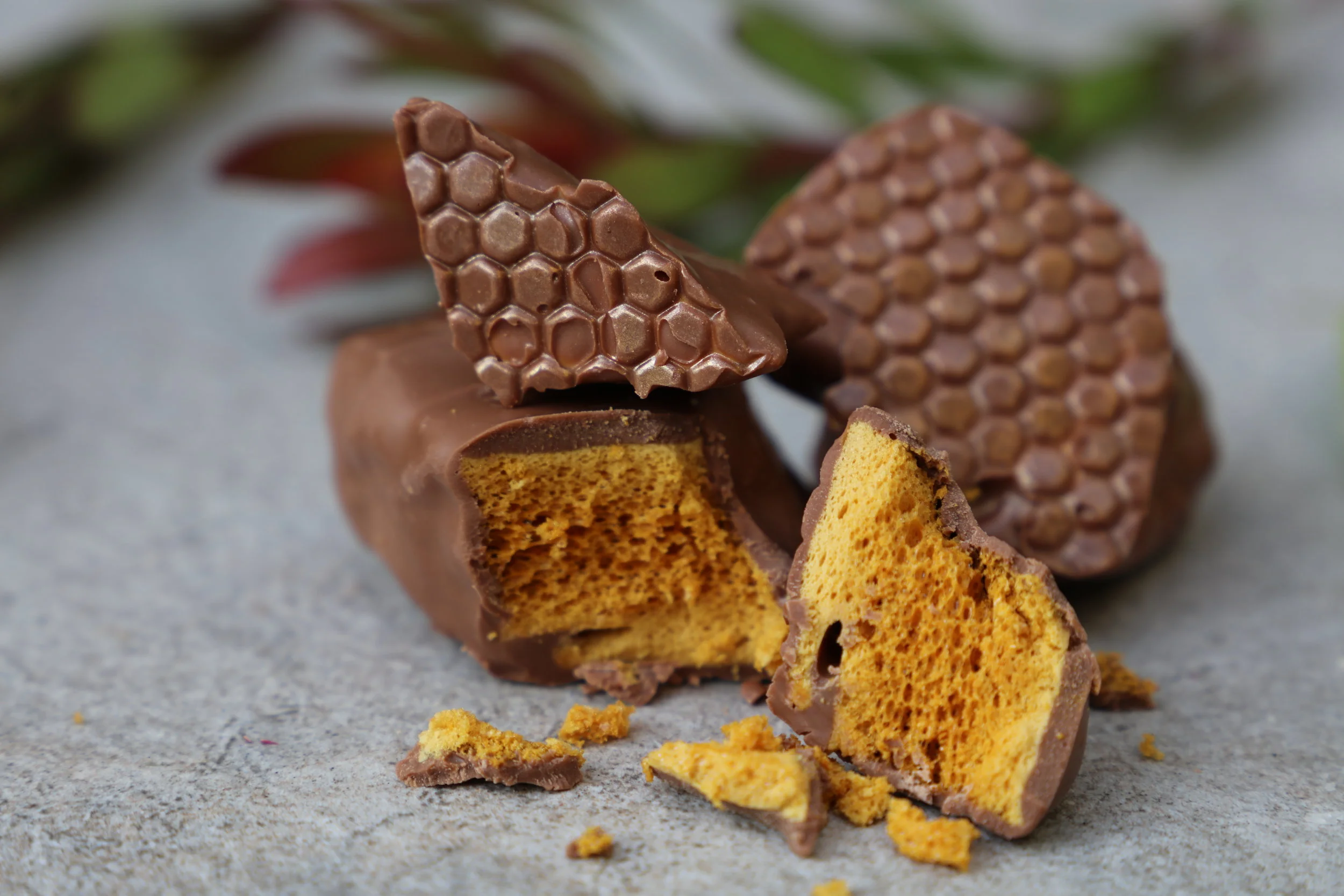 Eucalyptus Flower Honeycomb