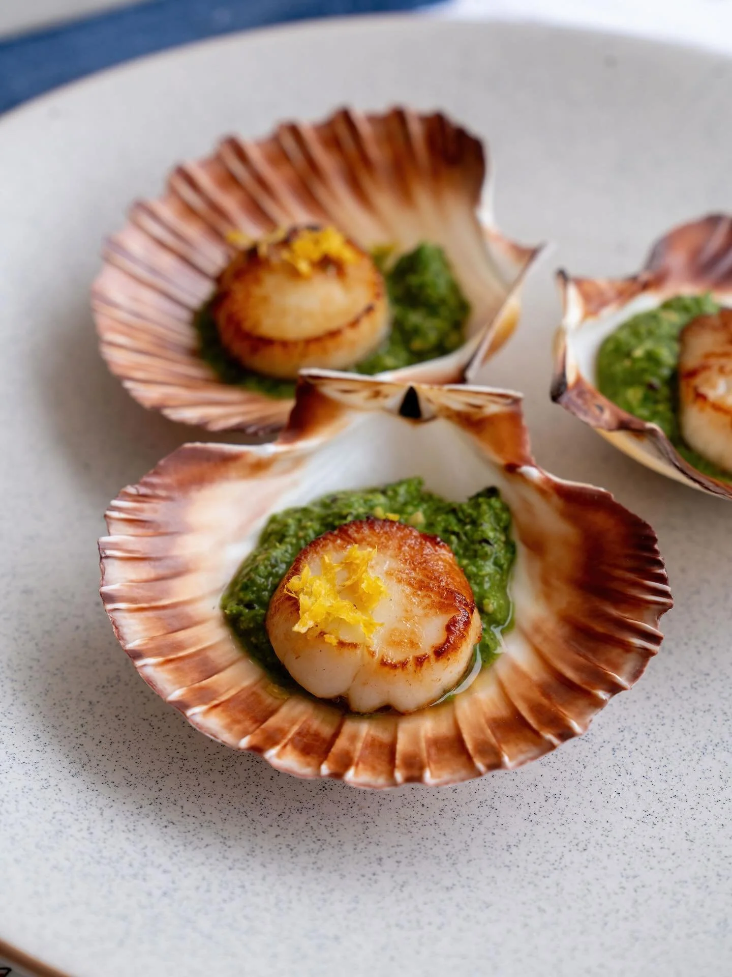~ Abrolhos Island scallop, fresh zaatar almond charmoula~
.
Open tonight from 5:30pm.
.
#yallasawa #cronulla #restaurant #sutherlandshire