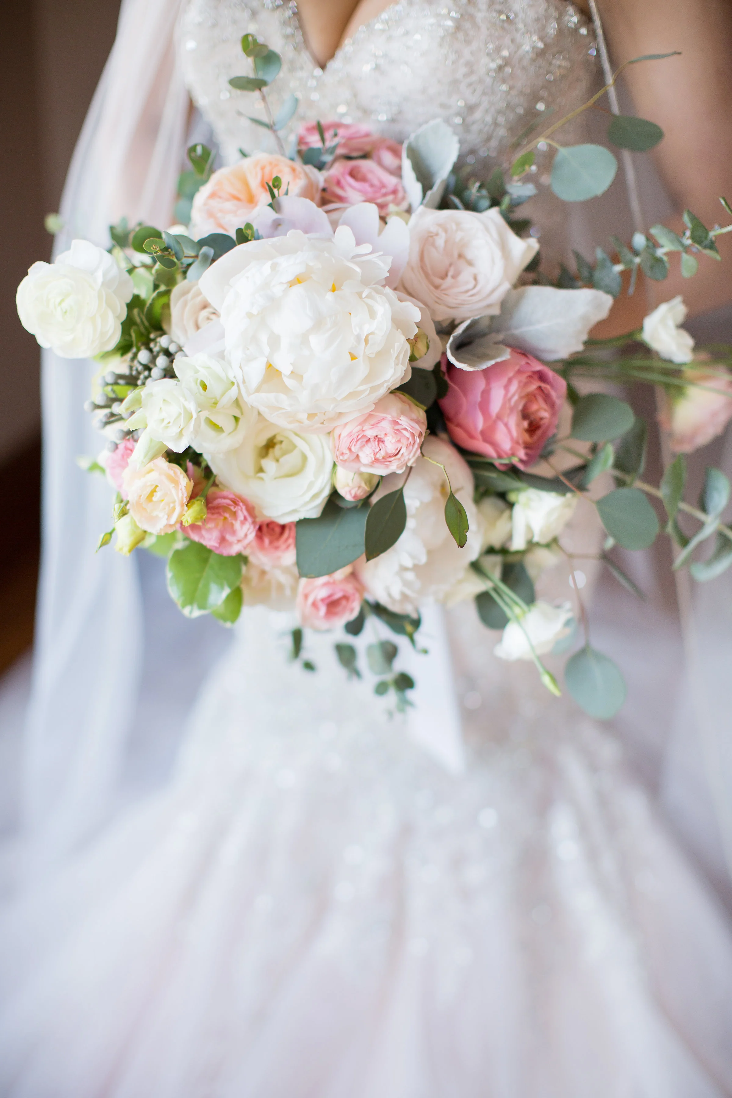 PHOTO CREDIT: Eryn Shea Photography