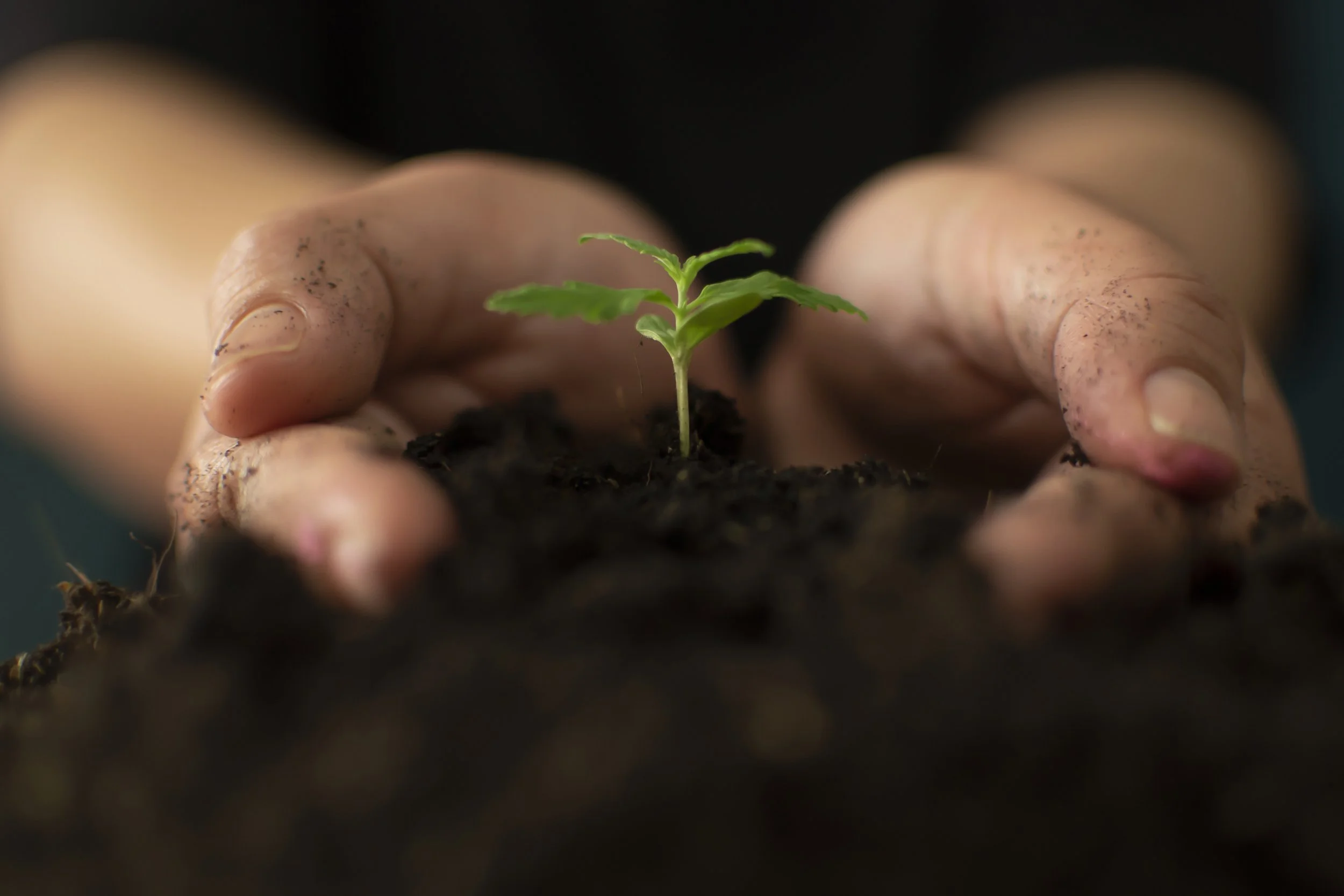 We are like plants more than you think