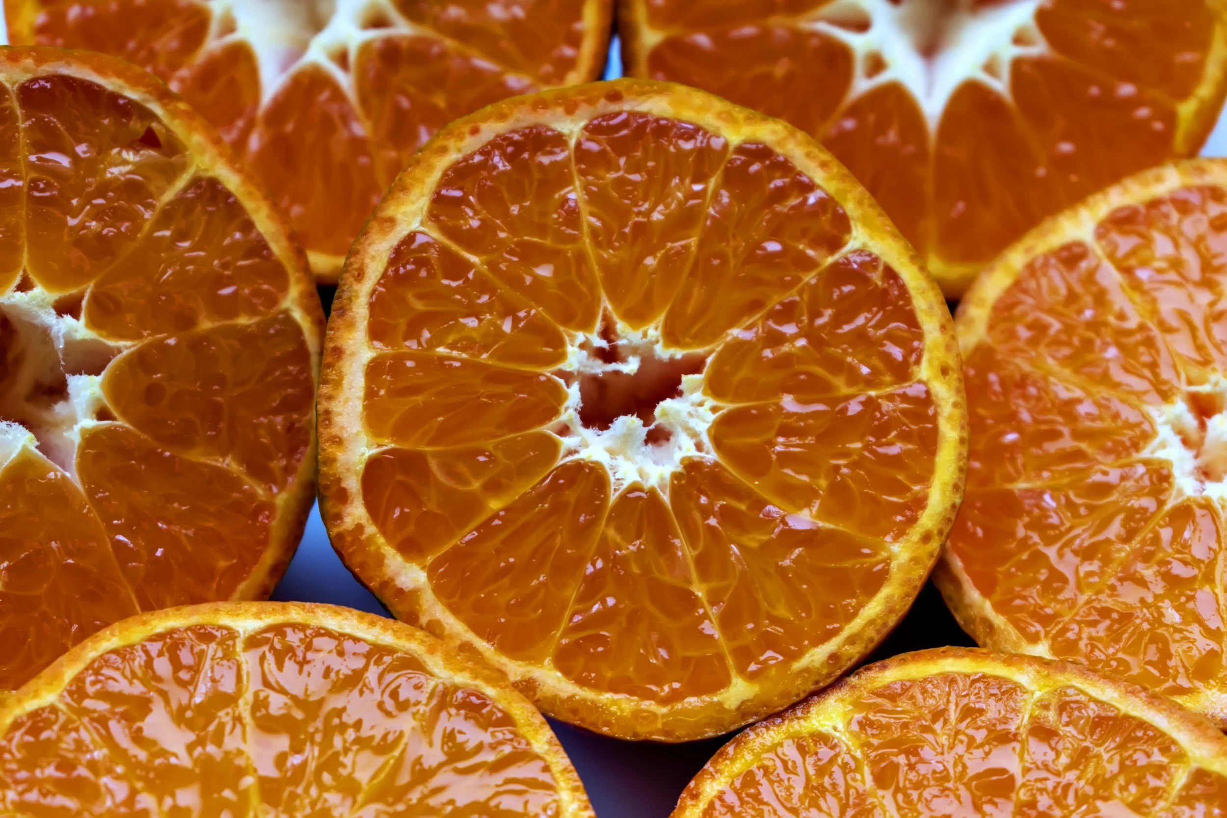 How Food Banks Can Rethink Segmentation in 2026