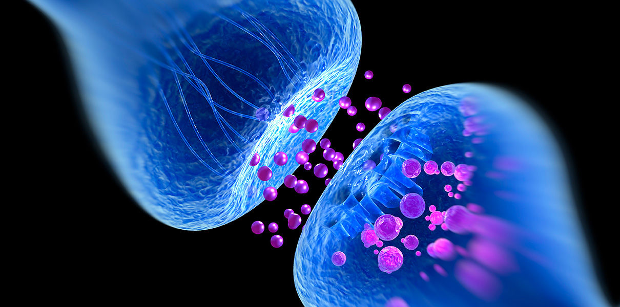 3.6: Quantum Consciousness