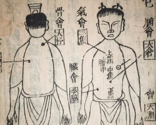 7.7: Chinese Traditional Medicine