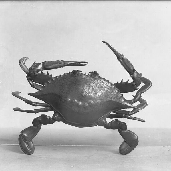 15.4: Mystery Magic Theatre: Return of the Crab Shell Tattoo