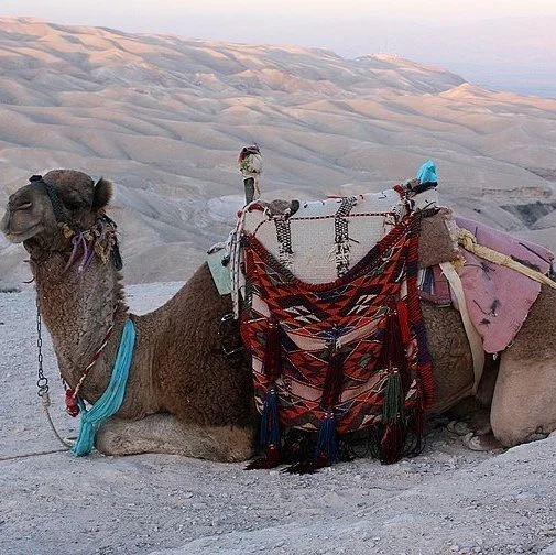 19.5: The Prosperity Gospel