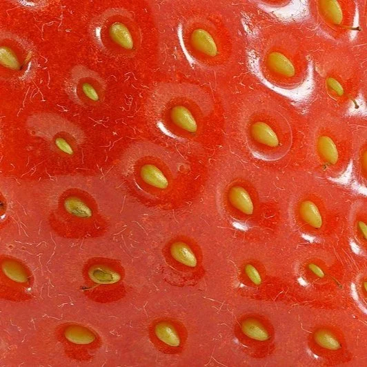 20.2: The Eleventh Seal or the Rabbit and the Rooster (A Mystery Magic Theatre Special)