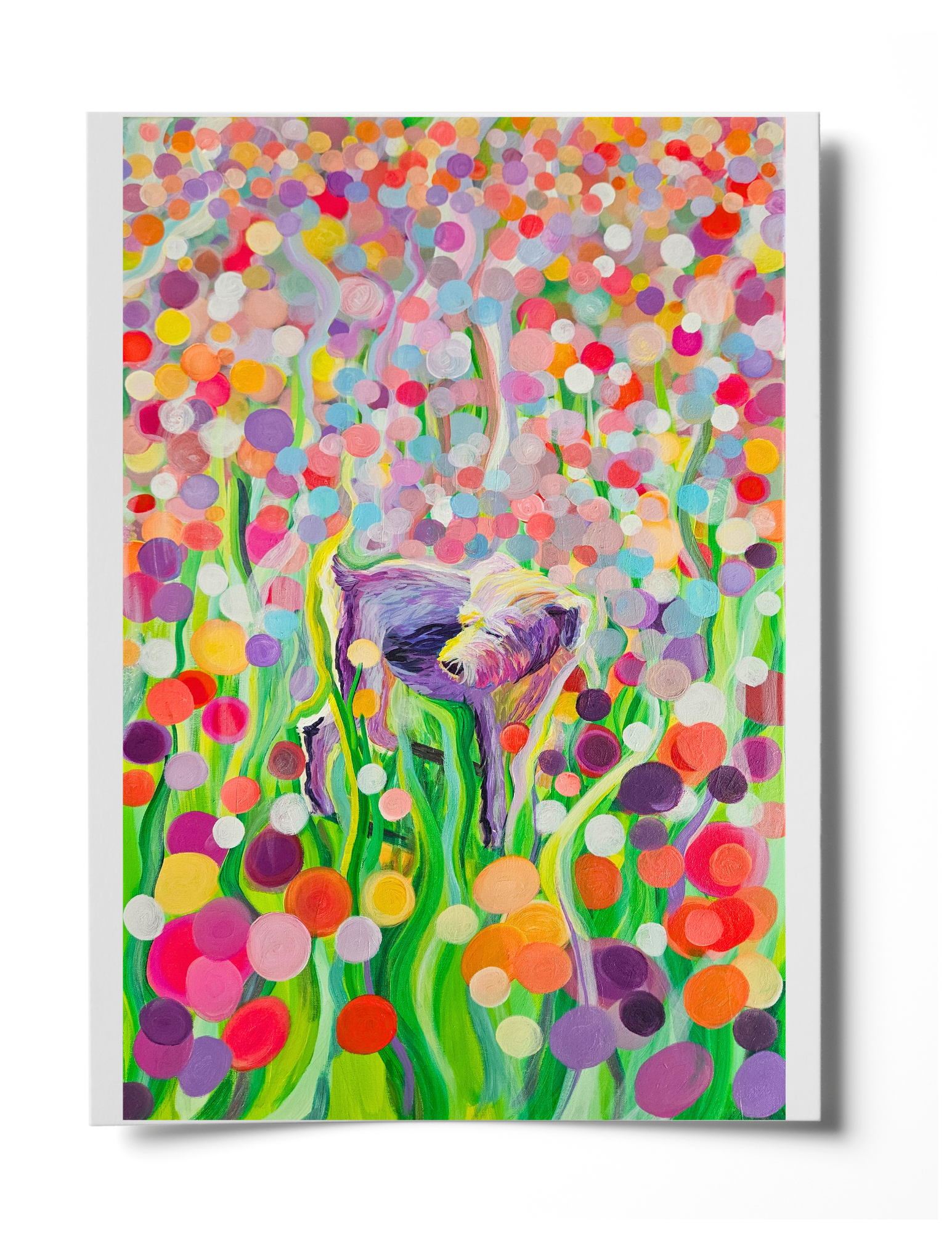 Charles Web Display.png