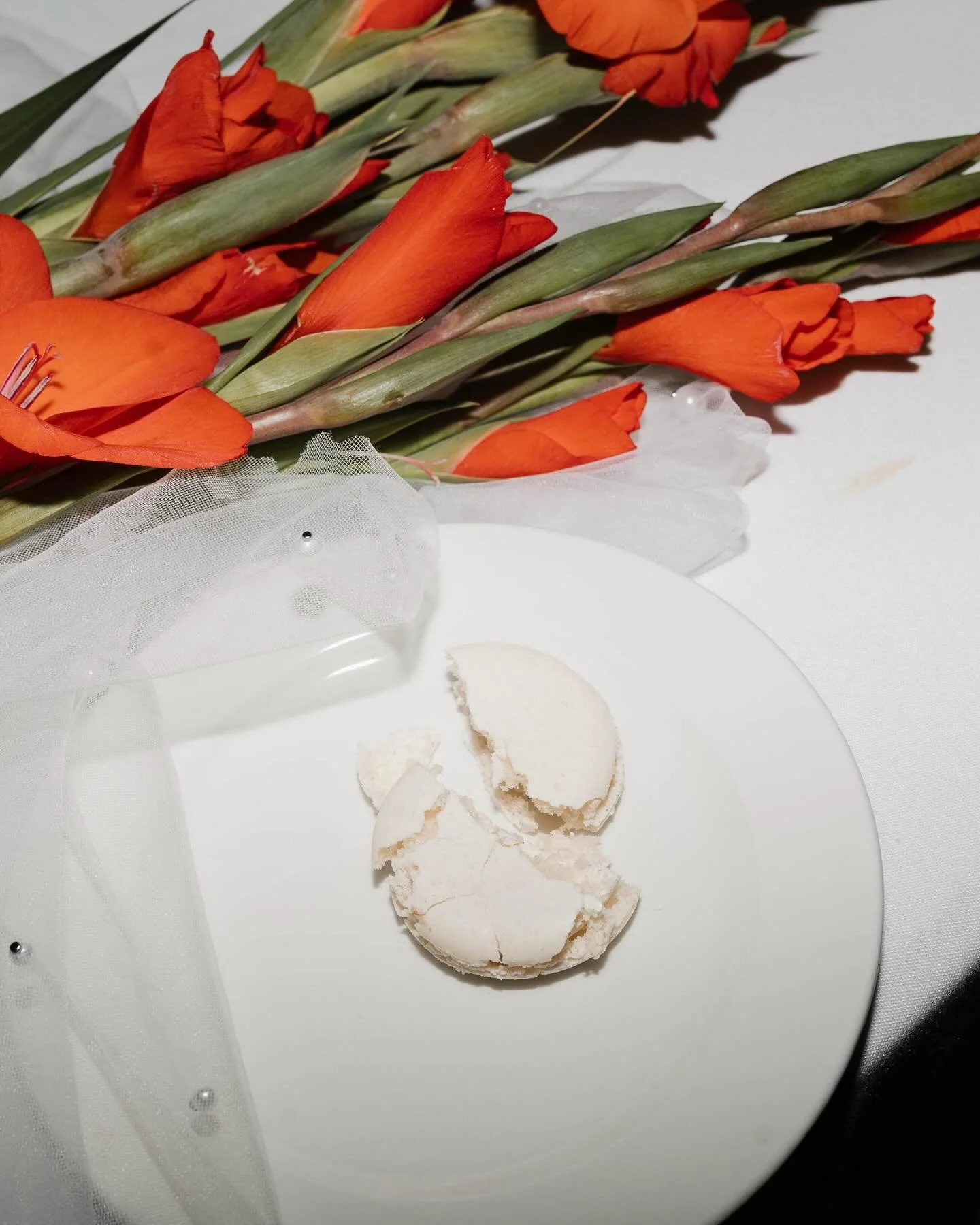 Beyond the portraits and perfectly posed frames, there’s a world of fleeting, beautiful in-betweens, the art of what almost goes unnoticed.
That’s where I find the story.
Because your wedding day isn’t a performance, it’s a