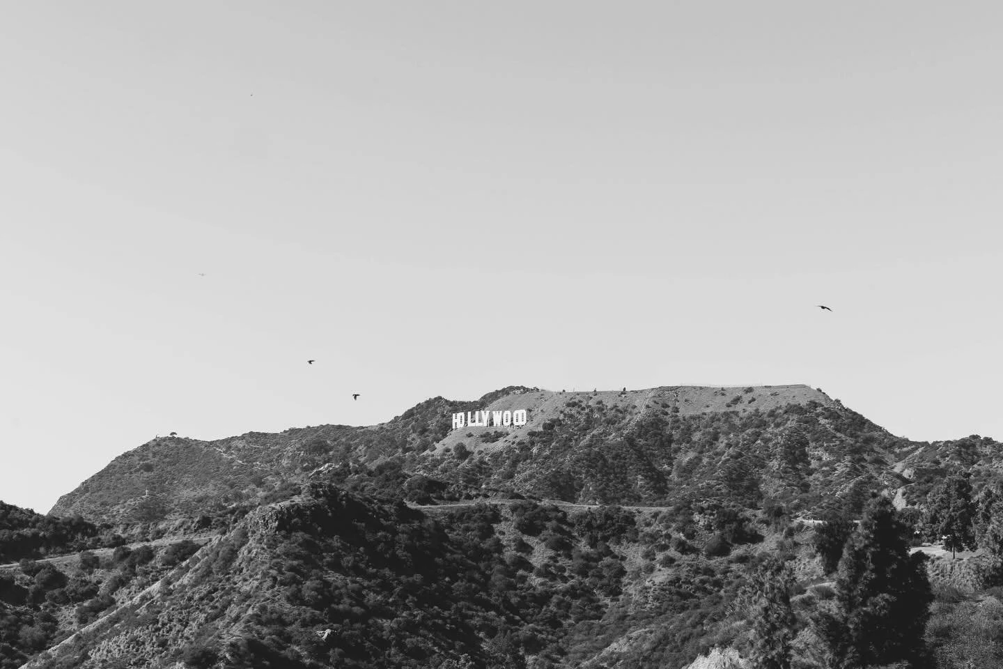 Postcards from Hollywood, California.

This wasn&rsquo;t my first time in California, but it was the trip that changed everything.

It started at the base of the Hollywood sign with a friend, a quiet moment under the symbol of stories, dreams, and be