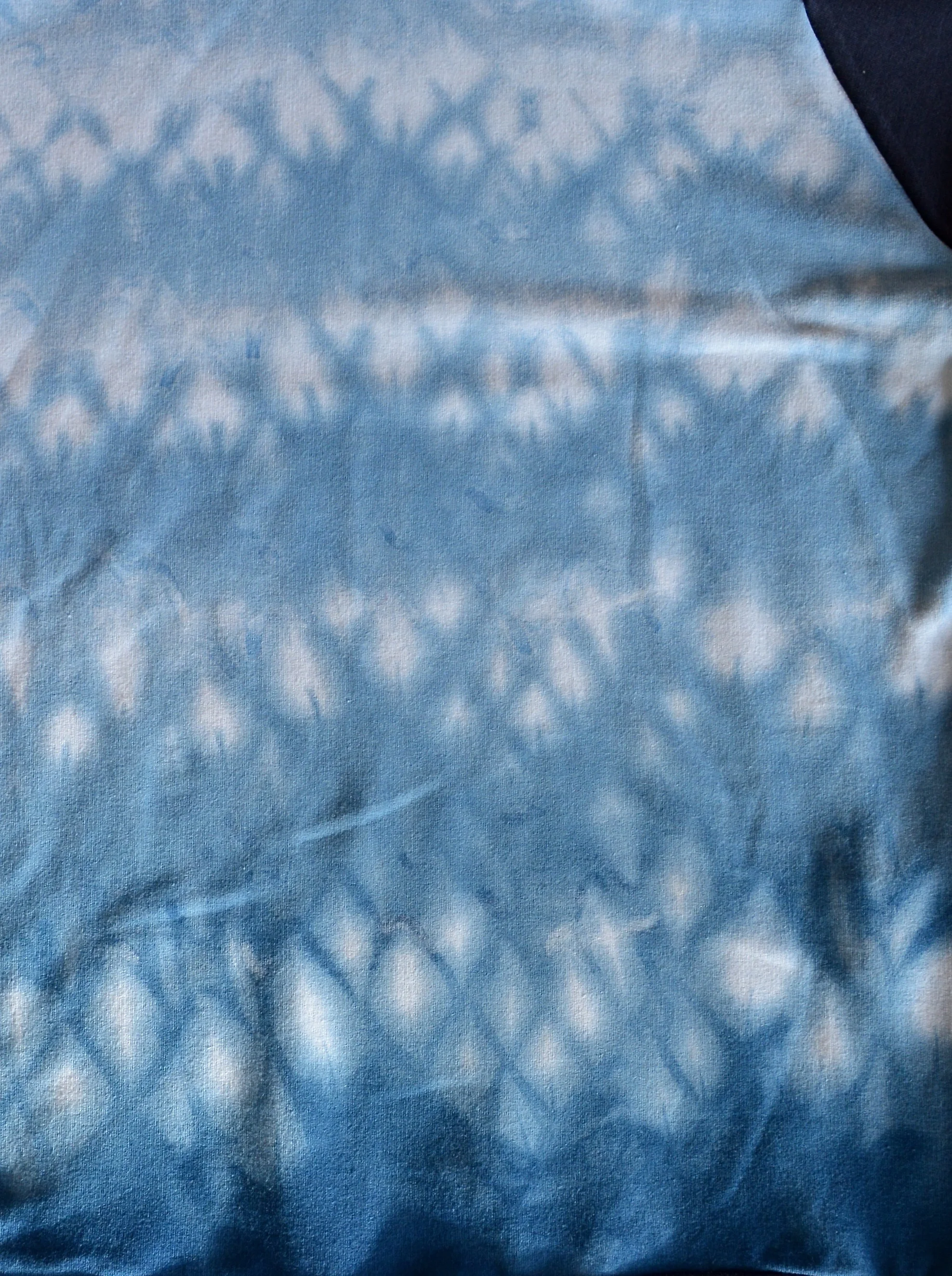 donut-detail.jpg